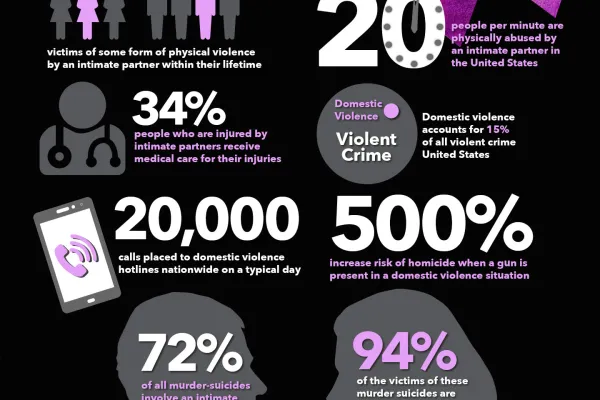 domestice violence awareness stats